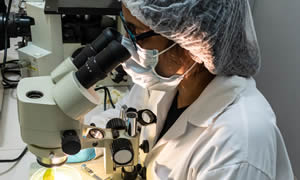 Científicos (agrónomos, biólogos, genetistas, biotecnólogos moleculares y tecnólogos moleculares) especializados en entomología molecular de plagas.