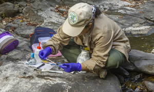 Somos un grupo que trabaja en la línea de la biodiversidad y está integrado por jóvenes científicos apasionados por la fauna silvestre.